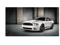 Ford Grilles