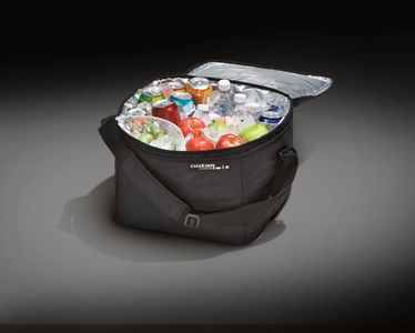 Ford HE5Z-19H484-A Cargo Organizer;Soft-Sided Cooler Bag W/Adjustable Carrying Strap, Ford Logo