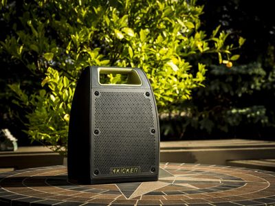 Ford VHL3Z-18808-B Bullfrog Jump by Kicker;Portable Bluetooth Speaker