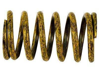 Ford 1L3Z-7F284-AA Spring