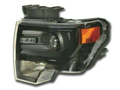 Ford DL3Z-13008-FB Composite Headlamp