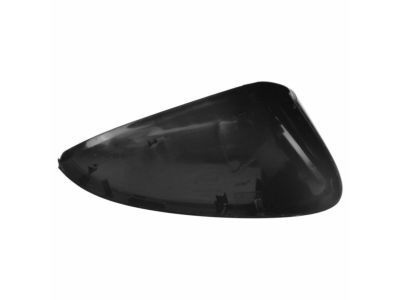 Ford DS7Z-17D743-AAPTM Mirror Cover