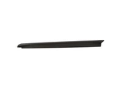 Ford 9L3Z-84291A40-AC Upper Molding