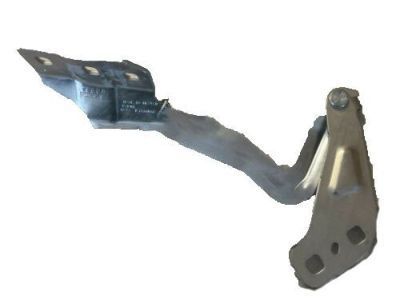Ford DS7Z-16796-A Hinge