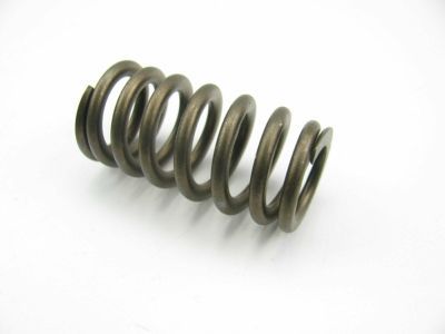 Ford XL3Z-6513-AA Spring - Valve