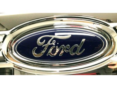 Ford 9C2Z-8200-AA Grille