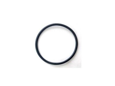 Ford -W702041-S300 Thermostat O-Ring