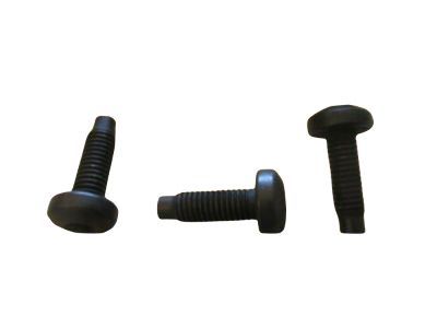 Ford -W505593-S424 Door Shell Screw