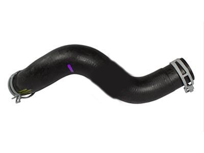 Ford 8L8Z-8286-A Lower Hose
