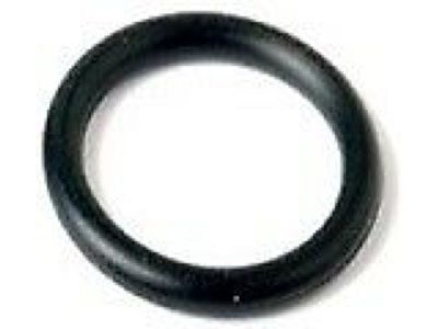 Ford -W701261-S300 Tube O-Ring