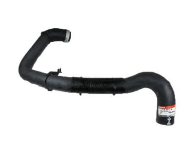 Ford 5C3Z-8286-DH Lower Hose