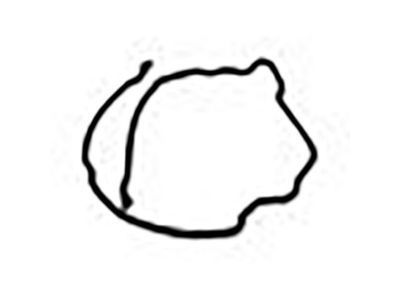 Ford 4L1Z-6020-AA Front Cover Gasket