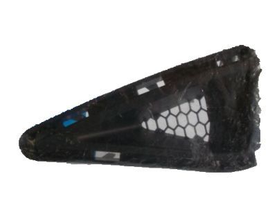 Ford JR3Z-17E810-AA Outer Grille