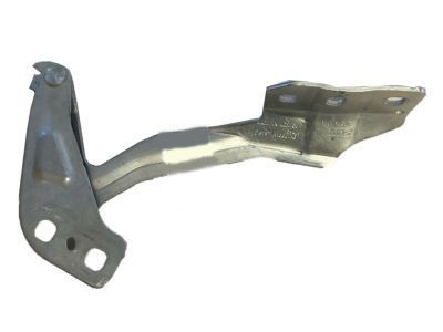 Ford DS7Z-16797-A Hinge