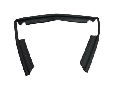 Ford DS7Z-16B990-F Front Weatherstrip