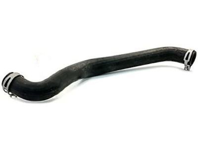 Ford 4L1Z-8260-AA Upper Hose