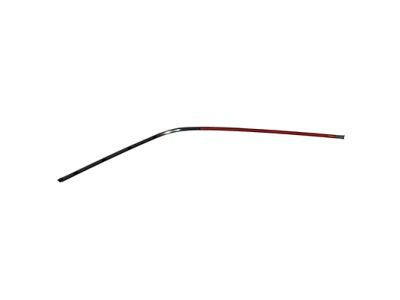 Ford 4L3Z-1803136-AA Side Molding