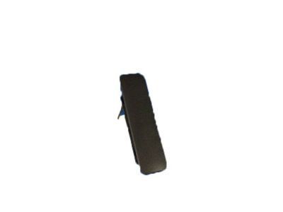 Ford 8C2Z-1522404-AD Handle, Outside