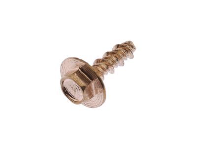 Ford -W707607-S403 Fog Lamp Assembly Screw