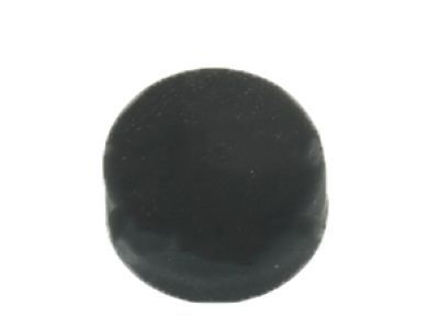 Ford -W710461-S300 Track Cap