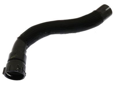 Ford AA5Z-8286-D Lower Hose