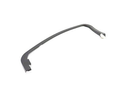 Ford DS7Z-5451752-AA Window Molding