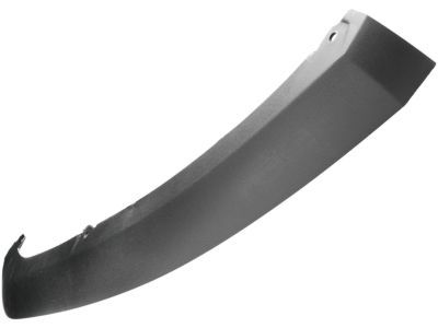 Ford CP9Z-17626-A Lower Molding