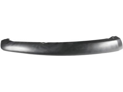Ford CP9Z-17626-A Lower Molding