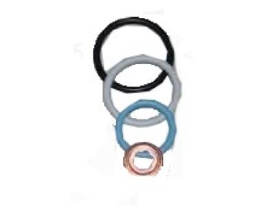 Ford 3C3Z-9229-AA Injector O-Ring