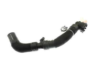Ford HP5Z-8286-A Lower Hose