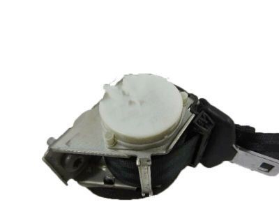 Ford CP9Z-54611B68-EA Outer Belt Assembly