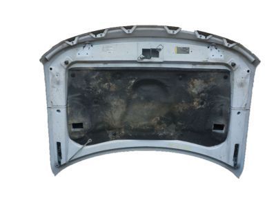 Ford CL3Z-16612-A Hood