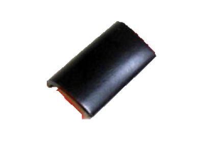 Ford 7L3Z-1520910-A Molding Extension