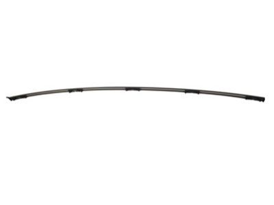 Ford CP9Z-5450463-A Roof Molding
