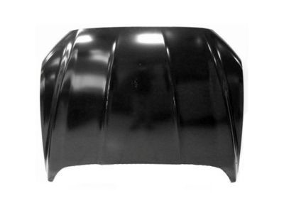 Ford DS7Z-16612-B Hood