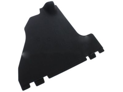 Ford 4L3Z-15023A98-AAA Panel Cover
