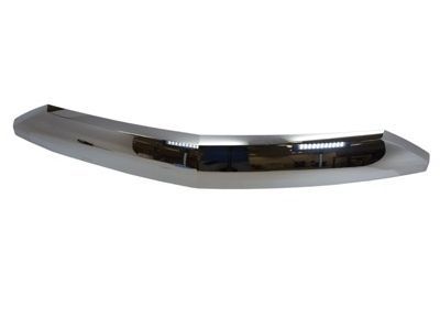 Ford 7L7Z-16856-AA Front Molding