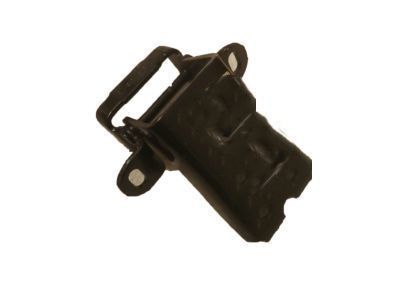 Ford E9TZ-1522800-A Lower Hinge