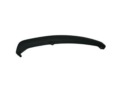 Ford CP9Z-17626-B Lower Molding