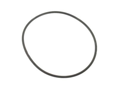Ford F1VY-8507-A Pulley Gasket