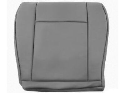 Ford AC2Z-1662901-DB Cushion Cover
