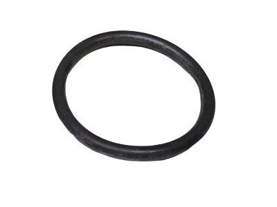 Ford -W715775-S300 Water Outlet O-Ring