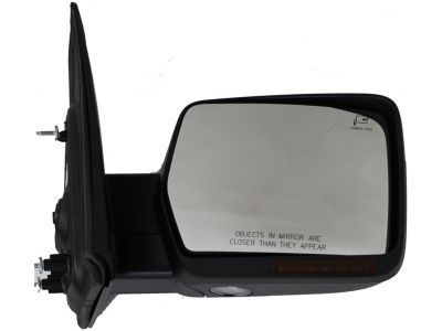 Ford BL3Z-17682-FAPTM Mirror