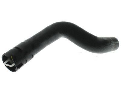 Ford F2GZ-8286-A Lower Hose