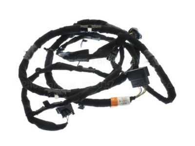 Ford HG9Z-15K867-L Wire Harness
