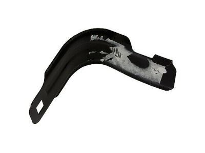 Ford BL3Z-16001A09-A Rear Plate Support Bracket