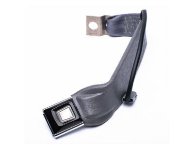 Ford F4TZ-1861203-C Buckle