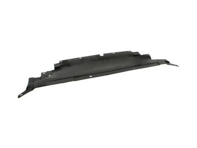 Ford DS7Z-16A238-A Sight Shield