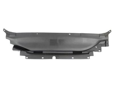 Ford DS7Z-16A238-A Sight Shield