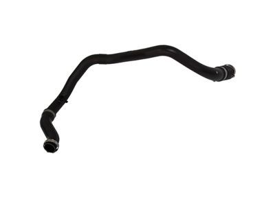 Ford BL3Z-6C646-A Lower Hose